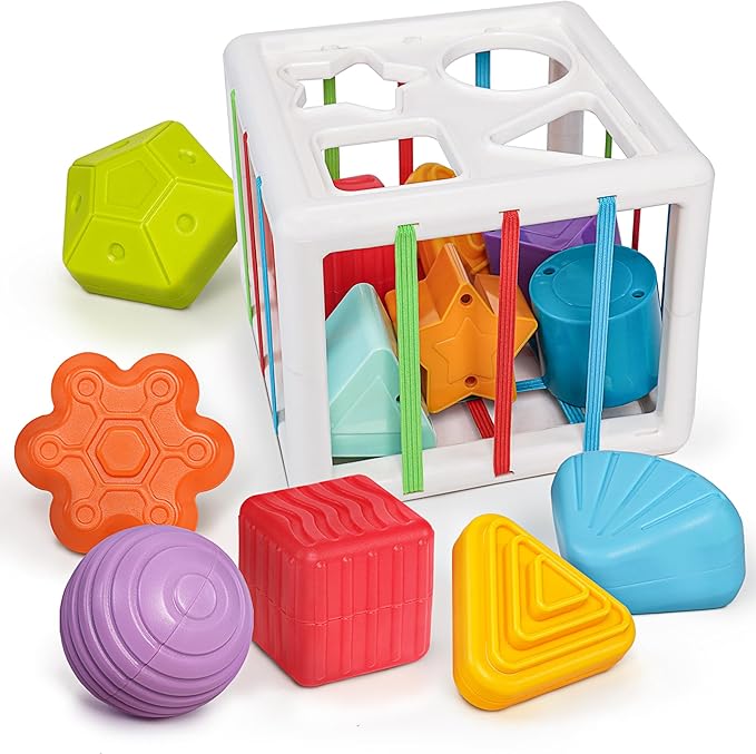 Shape Sorter Toys for 1+ Years Old, 10pcs Montessori Baby Blocks, Sensory Toddler Learning Toy for Fine Motor Skills, Infant Developmental Toys Gift for Ages 18+ Months