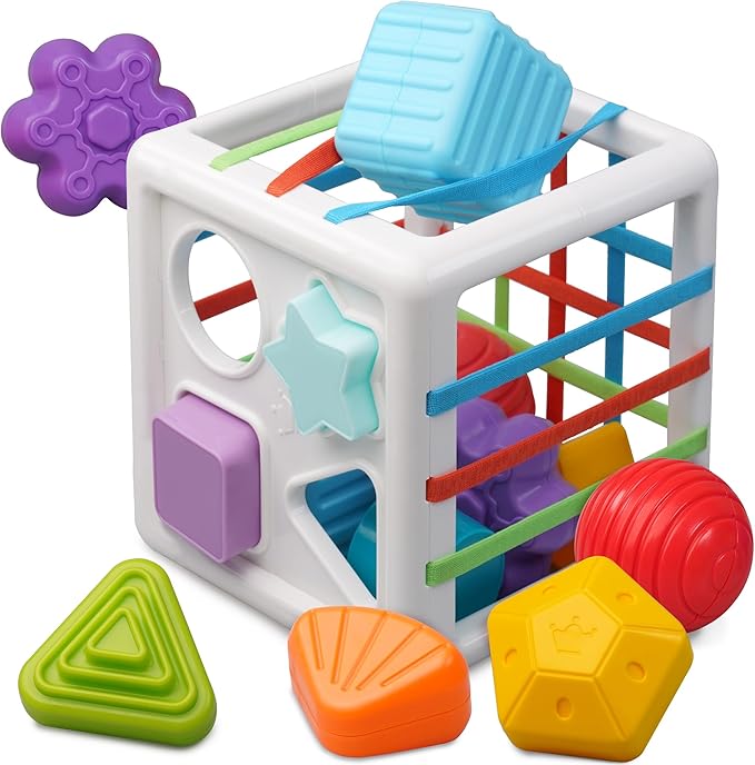 Shape Sorter Toys for 1+ Years Old, 10pcs Montessori Baby Blocks, Sensory Toddler Learning Toy for Fine Motor Skills, Infant Developmental Toys Gift for Ages 18+ Months