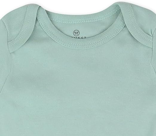 5-Pack Short Sleeve Bodysuits One-Piece 100% Organic Cotton for Infant Baby Boys